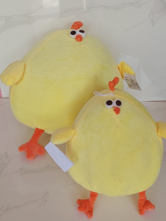 جوجه چشم قلمبه