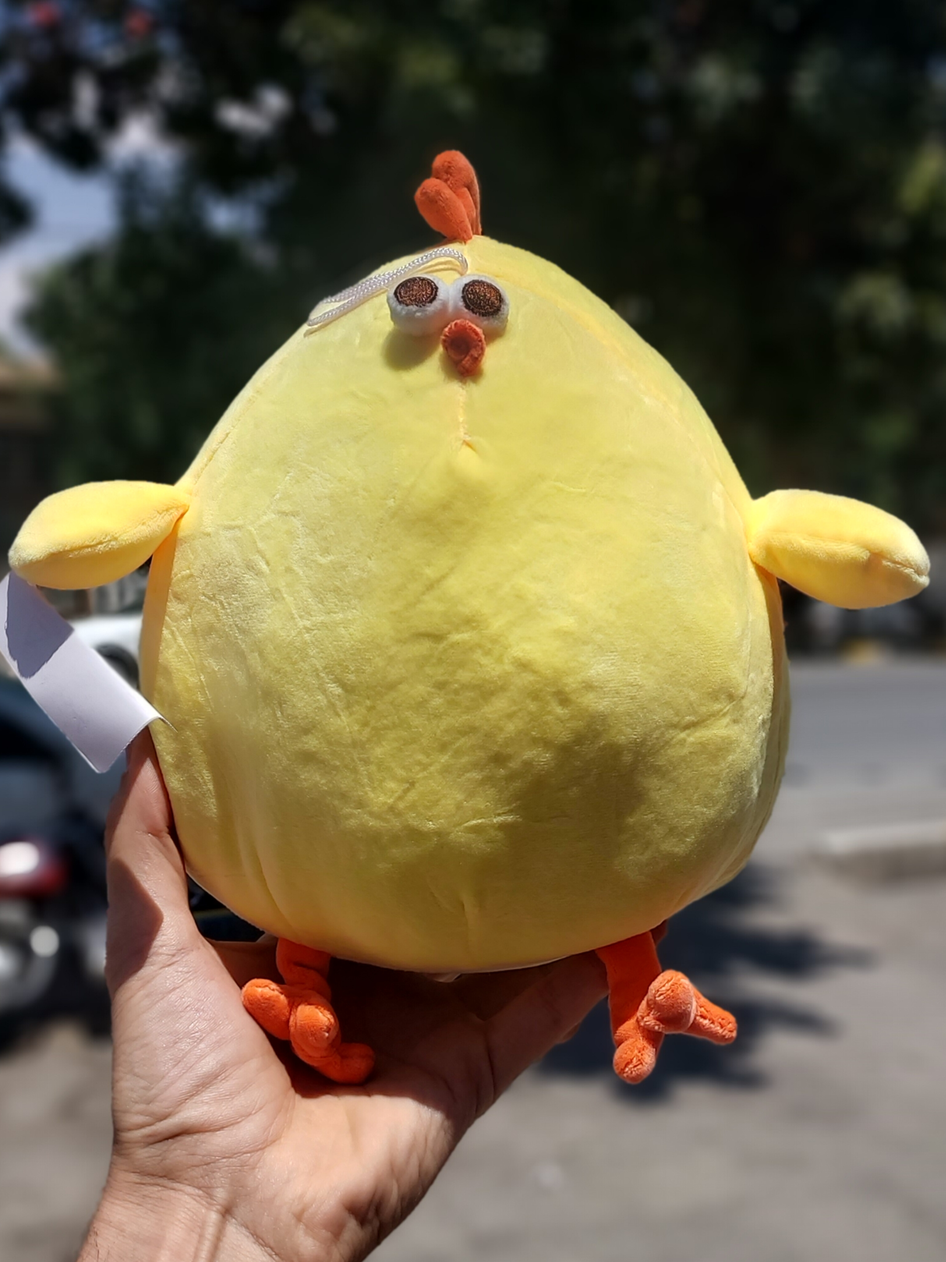 جوجه تپل