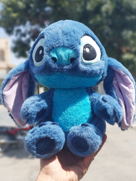 استیج چشم اکلیلی