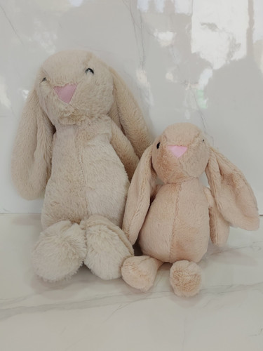 خرگوش گوش دراز