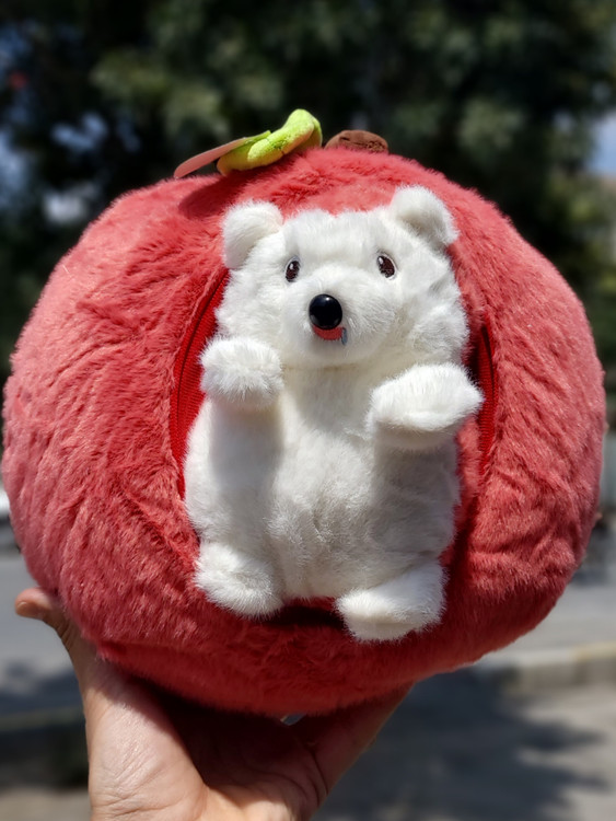 عروسک جوجه تیغی