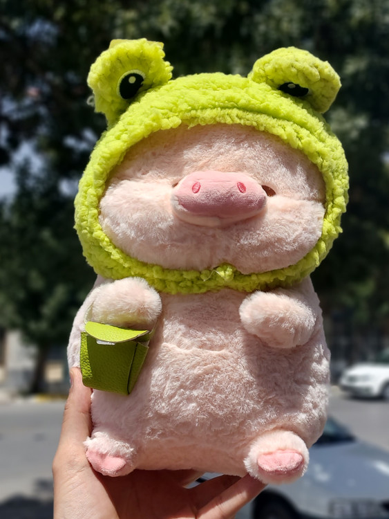 عروسک پولیشی خوک