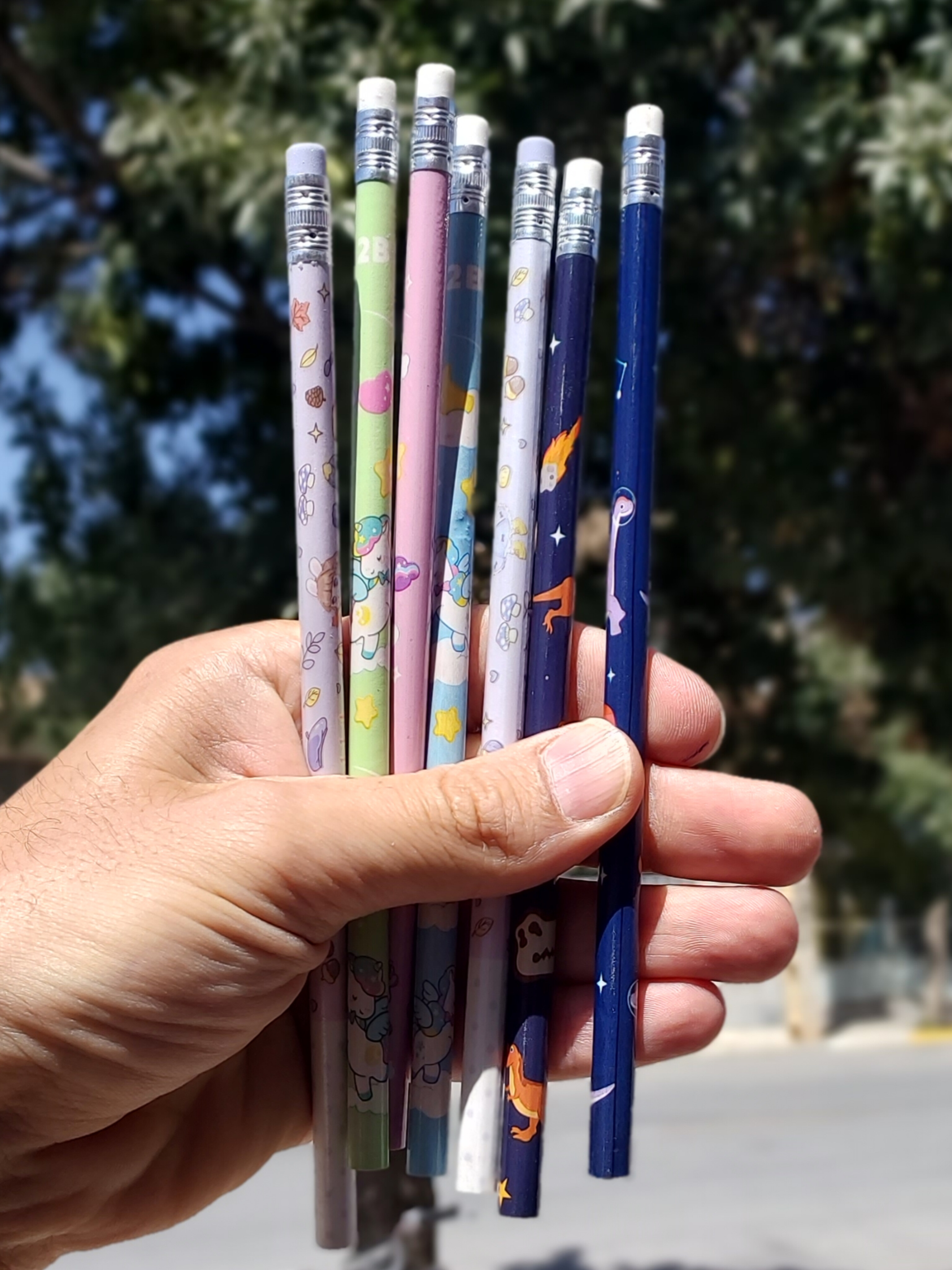 خودکارپاکن دار