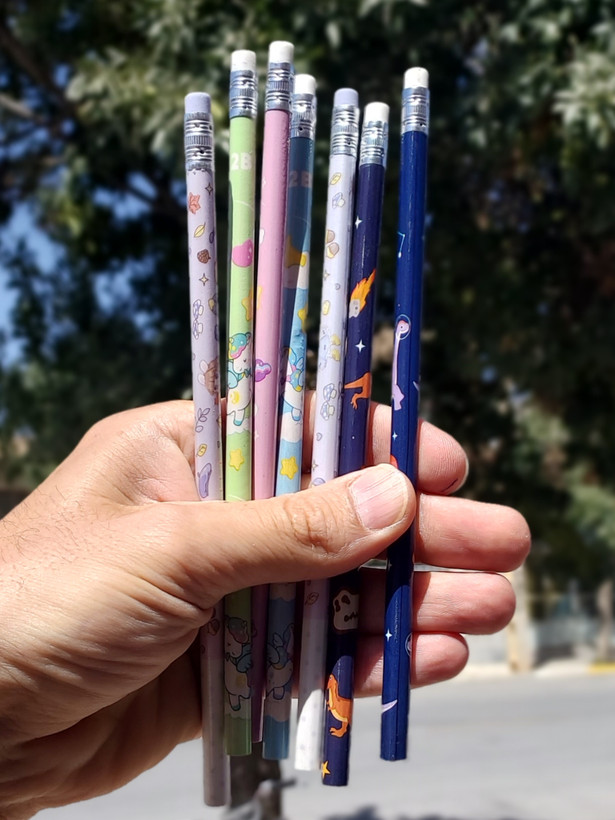 خودکارپاکن دار