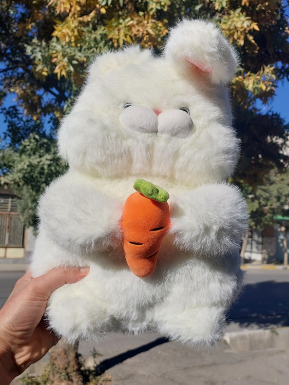 عروسک خرگوش هویج به دست